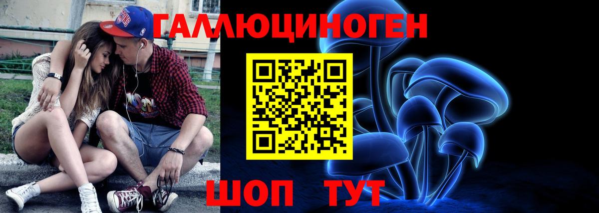 Галлюциногенные грибы MAGIC MUSHROOMS  Вход с VPN  Малгобек  Галлюциногенные грибы Psilocybe 